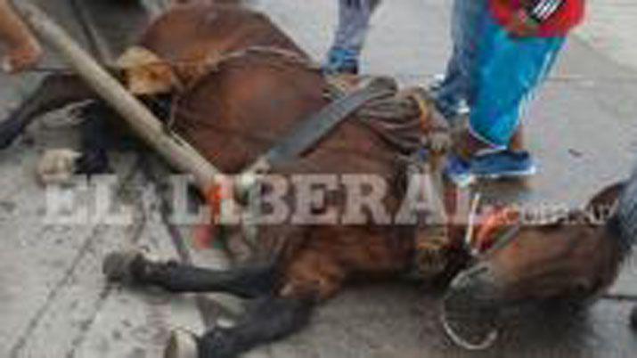 Motociclista sufrió graves heridas al chocar contra un caballo (Imagen de archivo)
