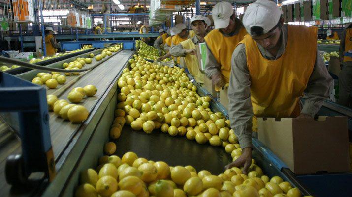Estados Unidos anuncioacute viacutea libre para el ingreso de limones argentinos