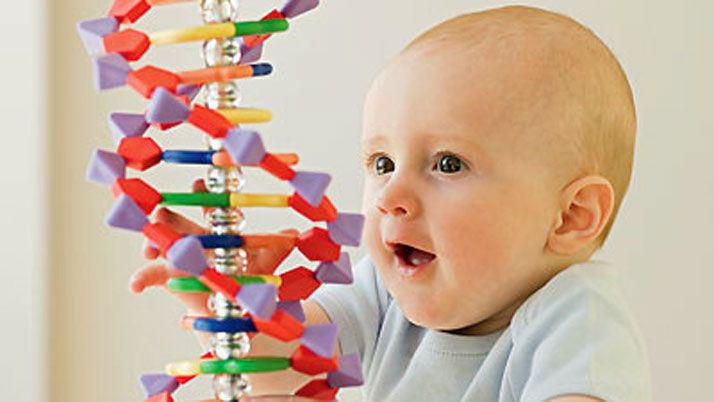 Coacuterdoba- anunciaron que naceraacute el primer bebeacute geneacuteticamente perfecto