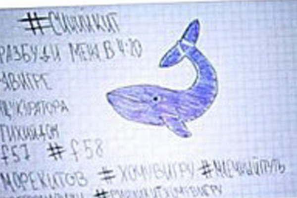 Cuaacuteles son los 50 peligrosos desafiacuteos del reto viral a los que se someten los joacutevenes