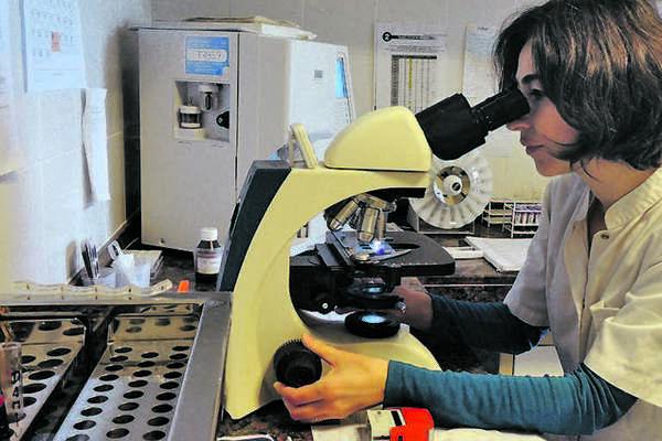 Bioquiacutemicos locales rechazan sistema de caacutepita del Pami y reclaman deuda millonaria