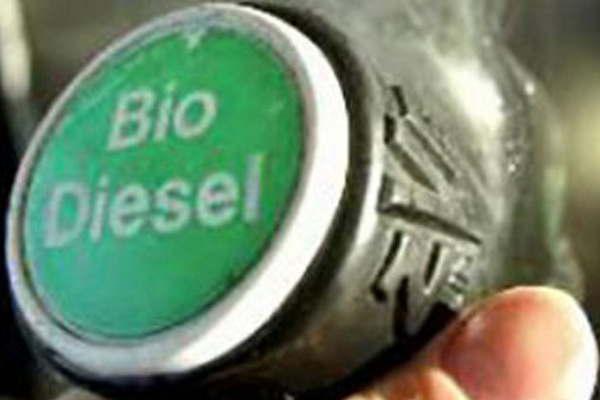 Se perfila un antildeo reacutecord para la produccioacuten de biocombustibles