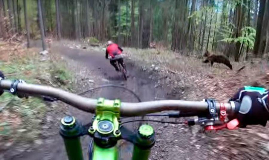 El tremendo susto de un ciclista en plena montantildea