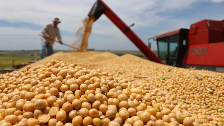 Una cooperativa en la mira de la Justicia por sospecha de uso ilegal de tecnologiacutea