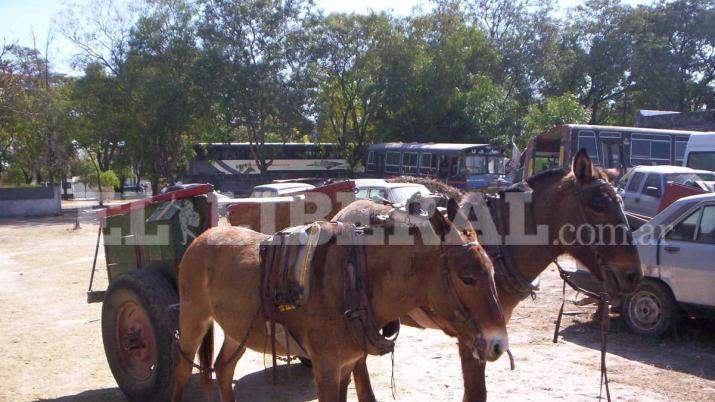 Usaron un carro para robar ripio pero los descubrieron Foto- Archivo