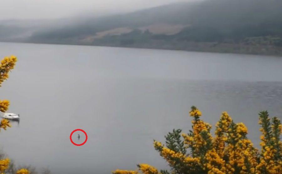 Creer o reventar- Un hombre captoacute al monstruo del lago Ness