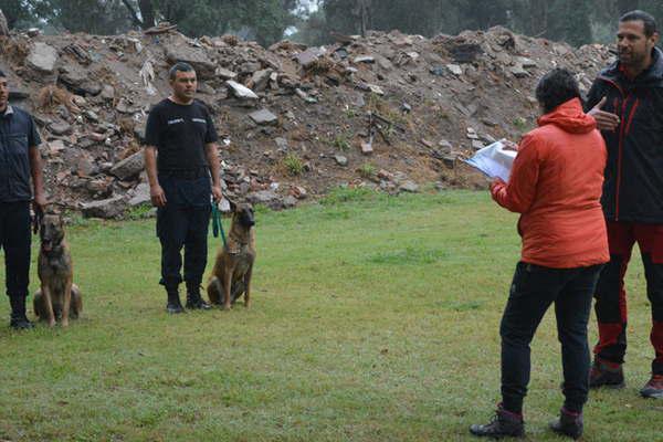 Canes y sus guiacuteas de todo el paiacutes rinden exaacutemenes para actuar en cataacutestrofes
