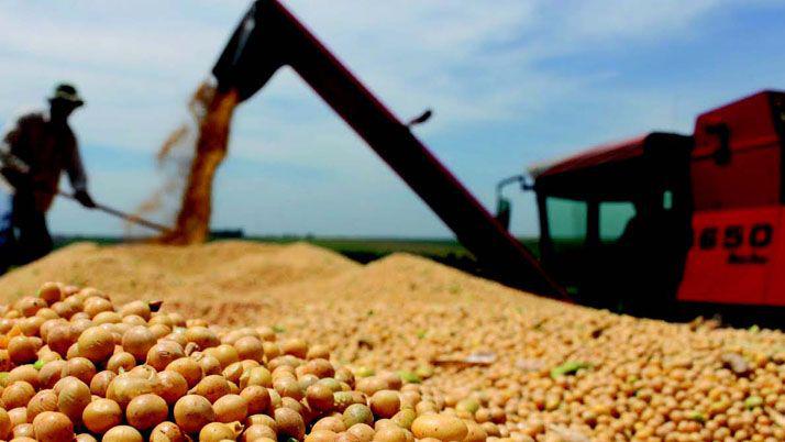 La cosecha de soja ofrece un rinde promedio de 3800 kilos por hectaacuterea