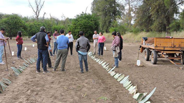 Realizaron la segunda jornada de capacitación en manejo de frutales para técnicos