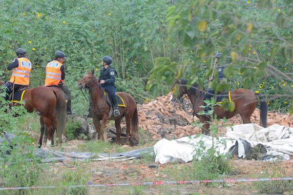 Dariacuteo mordioacute la mano de quien le dio de comer mi madre crioacute a su hija