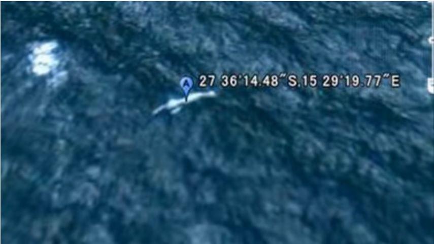 Una misteriosa criatura fue captada por Google Earth