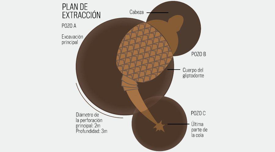 Coacutemo seraacute el rescate de los restos del gliptodonte hallado cerca de Weisburd