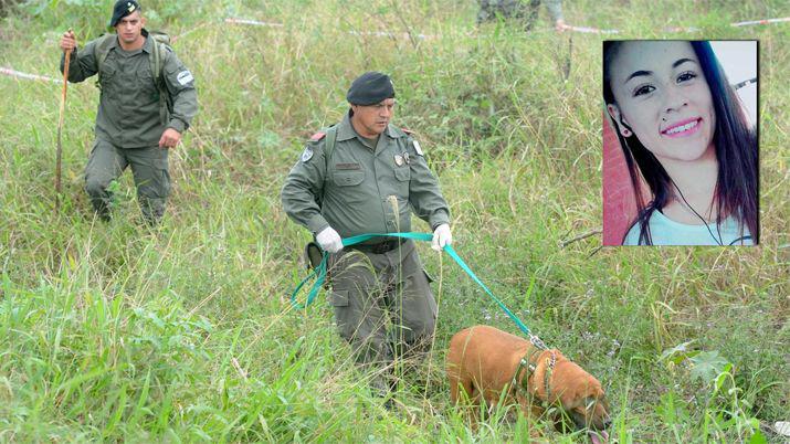 Uno de los perros est herido (Foto- La Gaceta)
