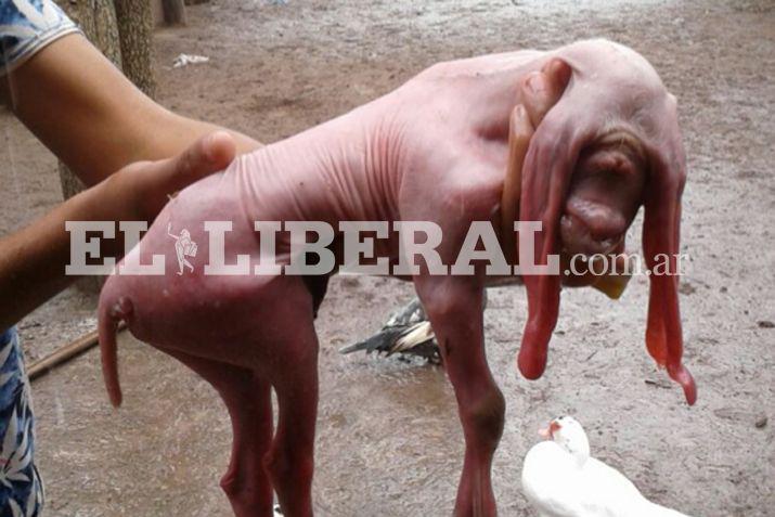 Los vecinos de Pampa de los Guanacos se encuentran conmocionados con este nuevo caso