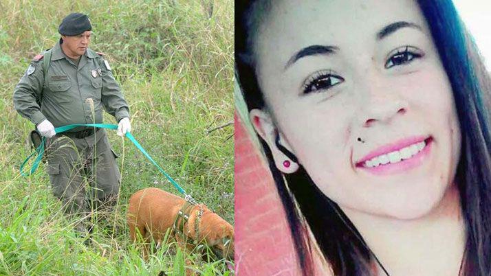 Perros que buscan a Daiana encontraron ropa con sangre en el riacuteo Saliacute