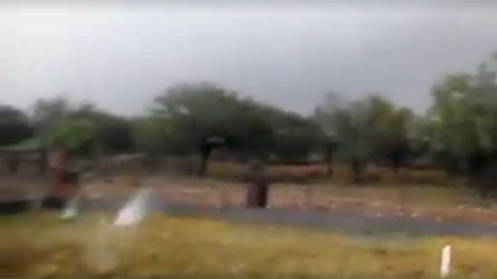 VIDEO  Violenta caiacuteda de granizo hace huir a los animales