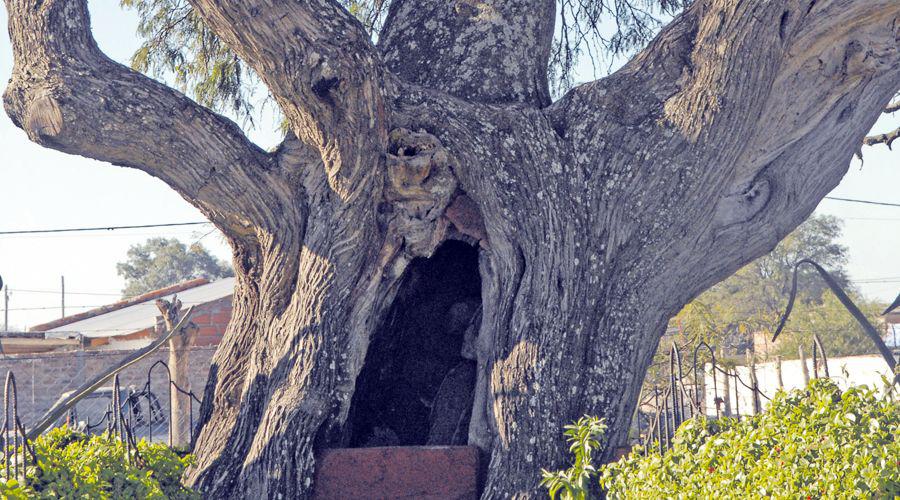 Un hallazgo en el monte que dio vida a una fuerte devocioacuten
