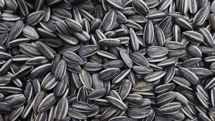 Una nena de 9 antildeos murioacute luego de ahogarse con una semilla de girasol