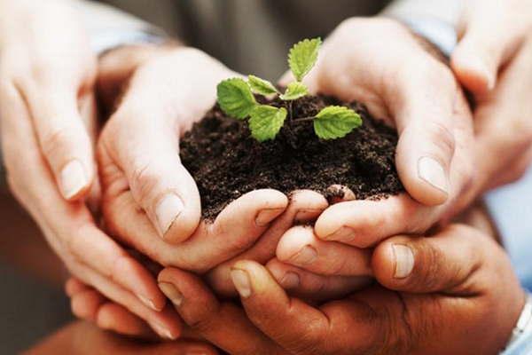 Conmemoran el Diacutea del Medio Ambiente con diversos actos