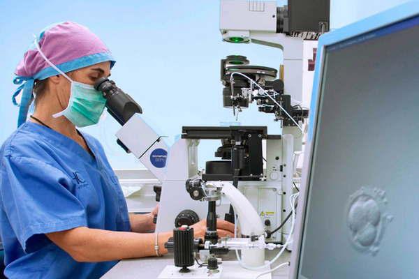 Fertilizacioacuten asistida- por ley se pueden hacer tres tratamientos gratis
