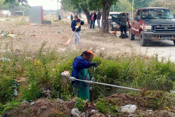 Calidad de Vida y Parques y Paseos trabajan en la limpieza de desaguumles pluviales y poda en la ciudad