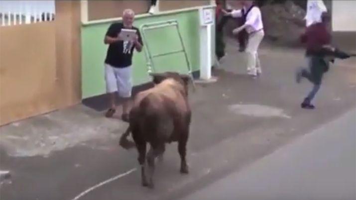 VIDEO  Se distrajo con el iPad y un toro se lo llevoacute por delante
