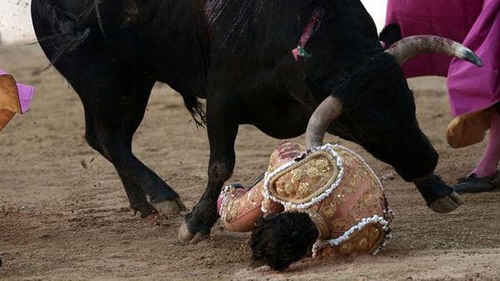 Un toro le atravesoacute el pulmoacuten de una cornada y murioacute