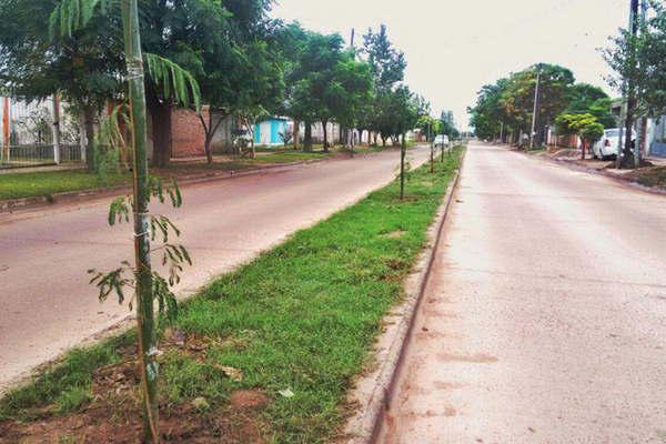 Repusieron plantas en el barrio 25 de Mayo