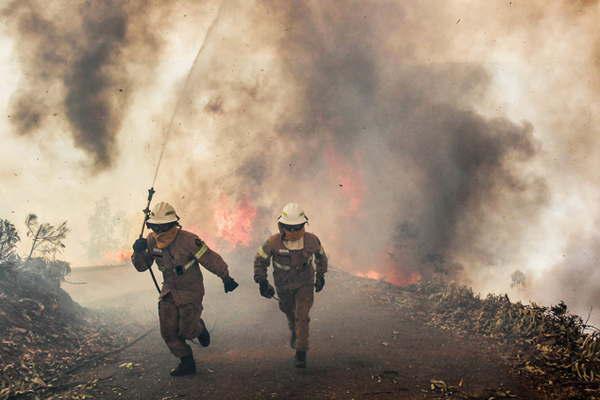 Un voraz incendio provocoacute al menos 62 muertos en medio de dificultades para apagar el fuego