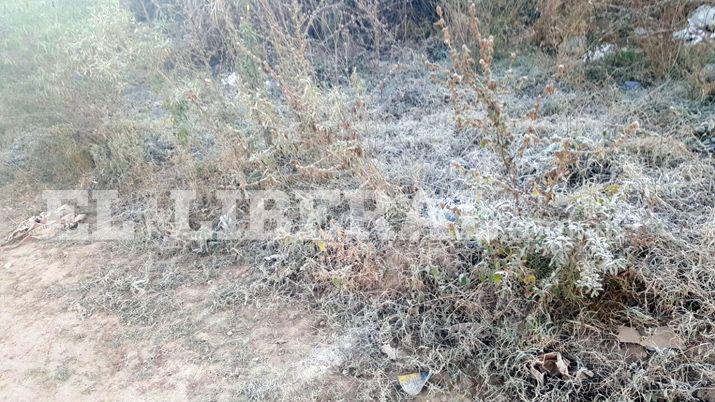 Otra helada grande recibió a los frienses en el inicio del lunes