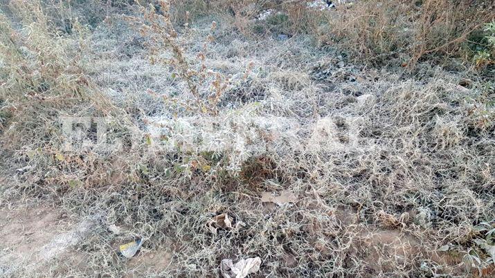 Otra helada grande recibió a los frienses en el inicio del lunes