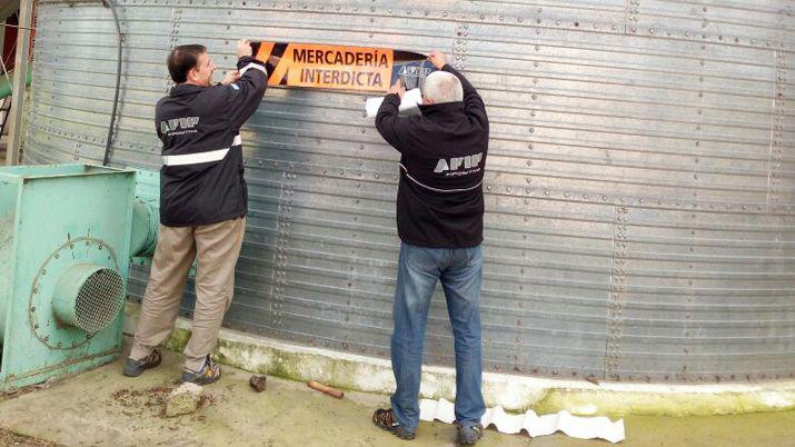 La Afip detectoacute irregularidades en las cosechas de campos nortentildeos