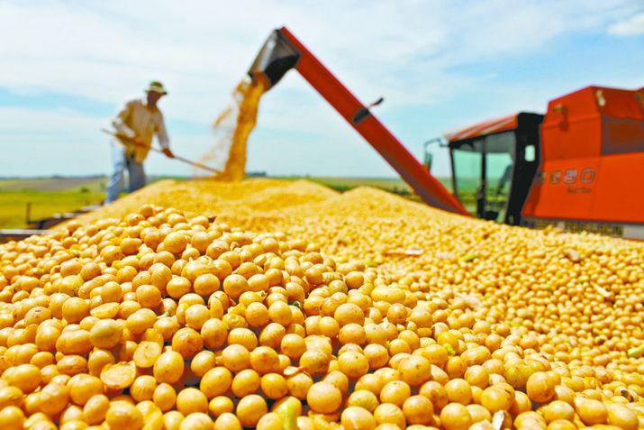 La mejora estuvo impulsada por sectores como el agro la construcción y el transporte 