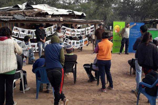Trabajadores sociales apuntan a los bosques nativos
