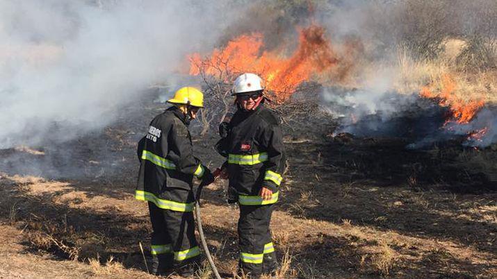 Pavoroso incendio en la localidad de Nueva Francia