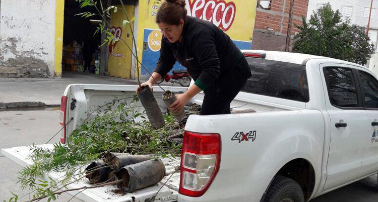 Se entregaron plantines de distintas especies para reforestar Las Termas y la Villa