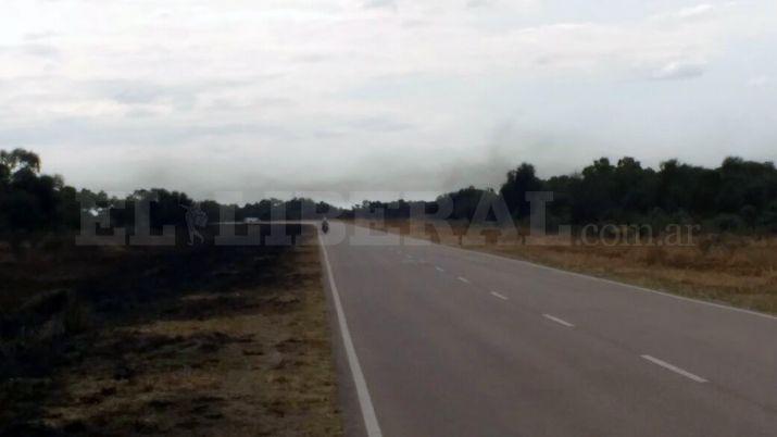 Productores avistaron una manga de langostas cerca de Otumpa