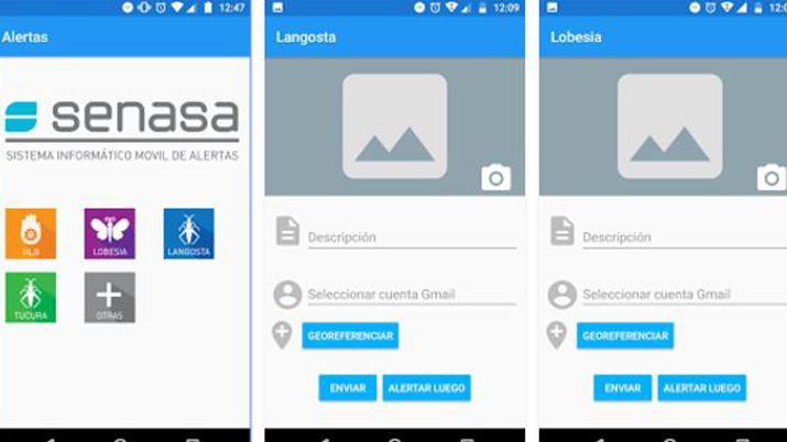 Lanzan aplicacioacuten moacutevil para alertar sobre plaga de langostas
