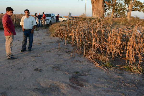 Secuestraron 4 armas y tratan de determinar si alguna es la homicida