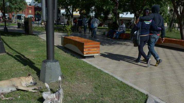 Cómo seguir el tiempo mañana Llover