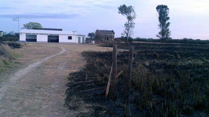 Indignacioacuten por quema de pastizales que dantildeoacute plantaciones de aacuterboles
