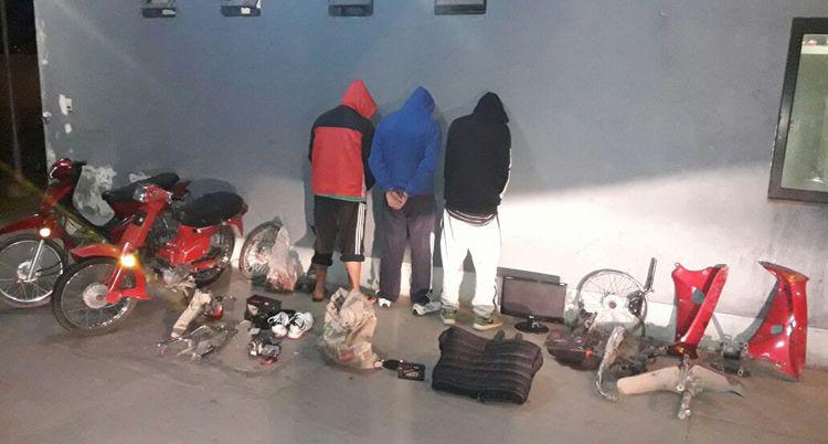Desbaratan una banda que asechaba la zona norte de la Capital