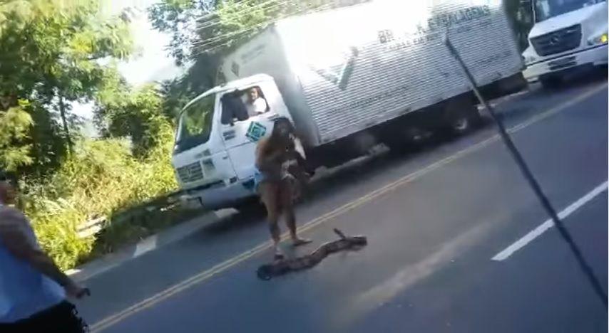 Video- Mujer rescata a una boa que bloqueaba el traacutefico