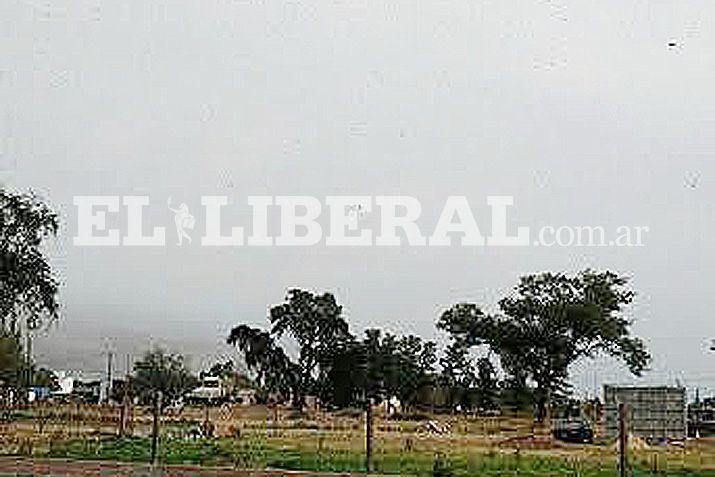 Las mangas de depredadores de cultivos se esparcieron por la ciudad y zonas aledañas