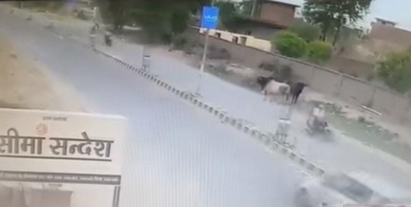 Impactante- Un toro embiste a un motociclista