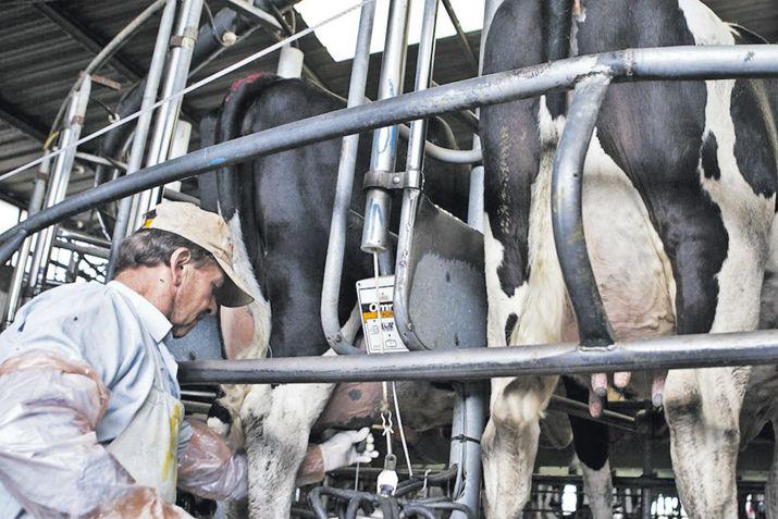 Los tamberos indican que no hay soluciones de fondo para la lecheriacutea