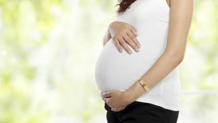 Autorizaron a una pareja gay a tener un hijo en un vientre sustituto