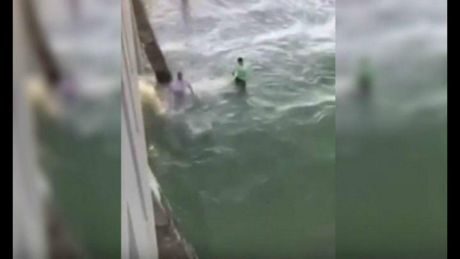 El aterrador momento en que un tiburoacuten ataca a un pescador