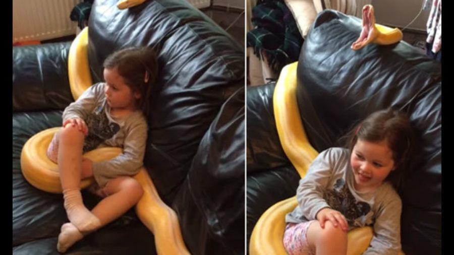 Video- Una nintildea rodeada por una pitoacuten genera poleacutemica en las redes sociales