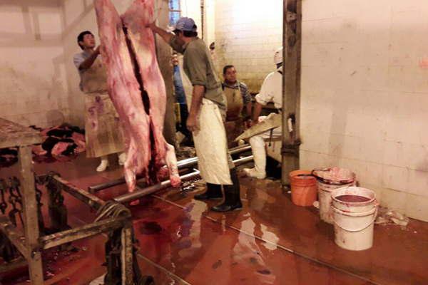 La Nacioacuten suspendioacute de manera preventiva el matadero de Friacuteas